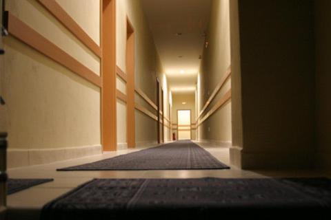 City Hostel Bratislava Luaran gambar